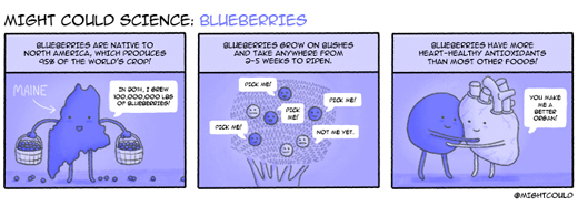 MC-blueberries-blog-1