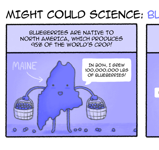 Might Could Science: Blueberries!