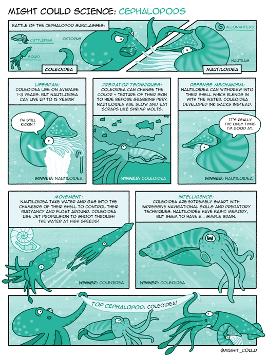 Might Could Science: Cephalopods!