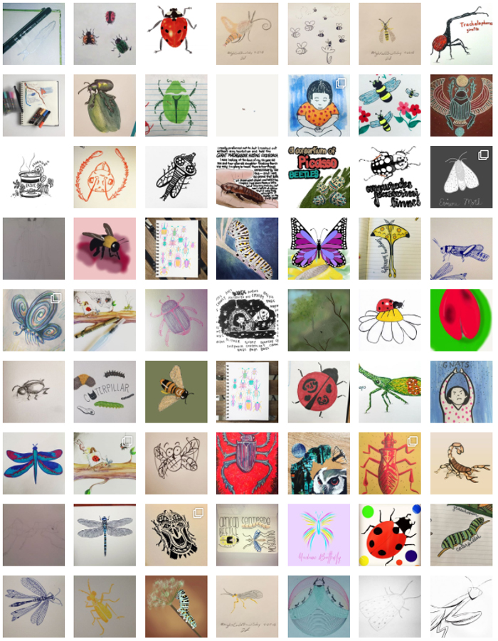 #MightCouldDrawToday Week 10: Bugs. Christine Nishiyama, Might Could Studios
